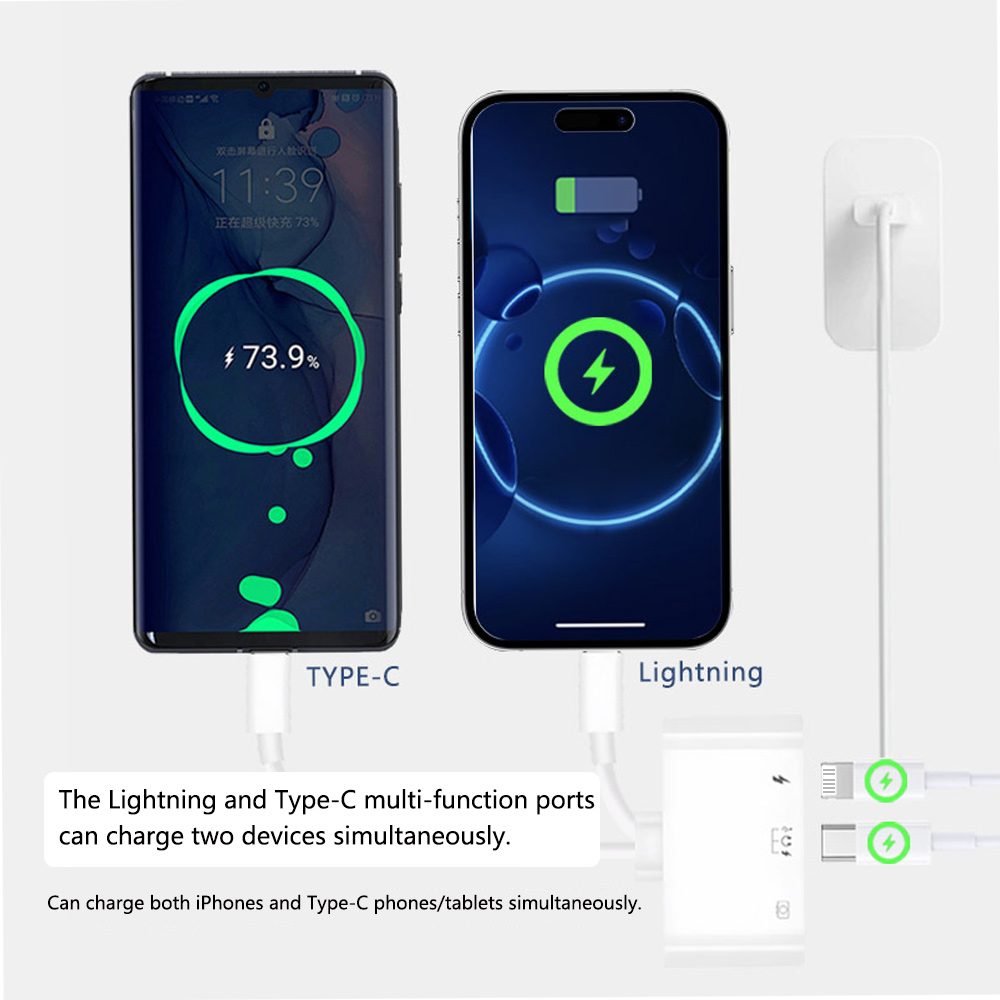 2 en 1 Lightning tipo C a USB  - Wired Earphone Lightning reseña y precio